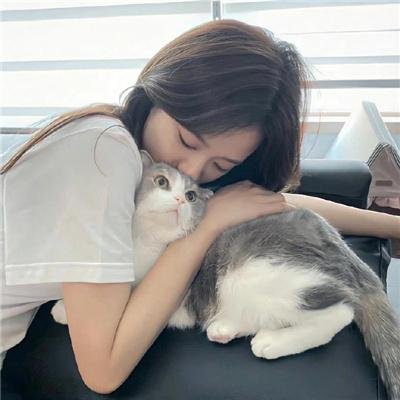 分手的决心